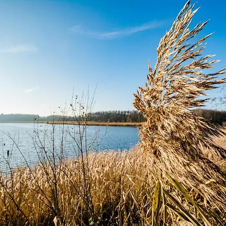 5 Sterne Direkt Am Mit Sauna-kamin-garten 펜션 *
